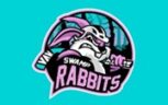 Swamp Rabbits